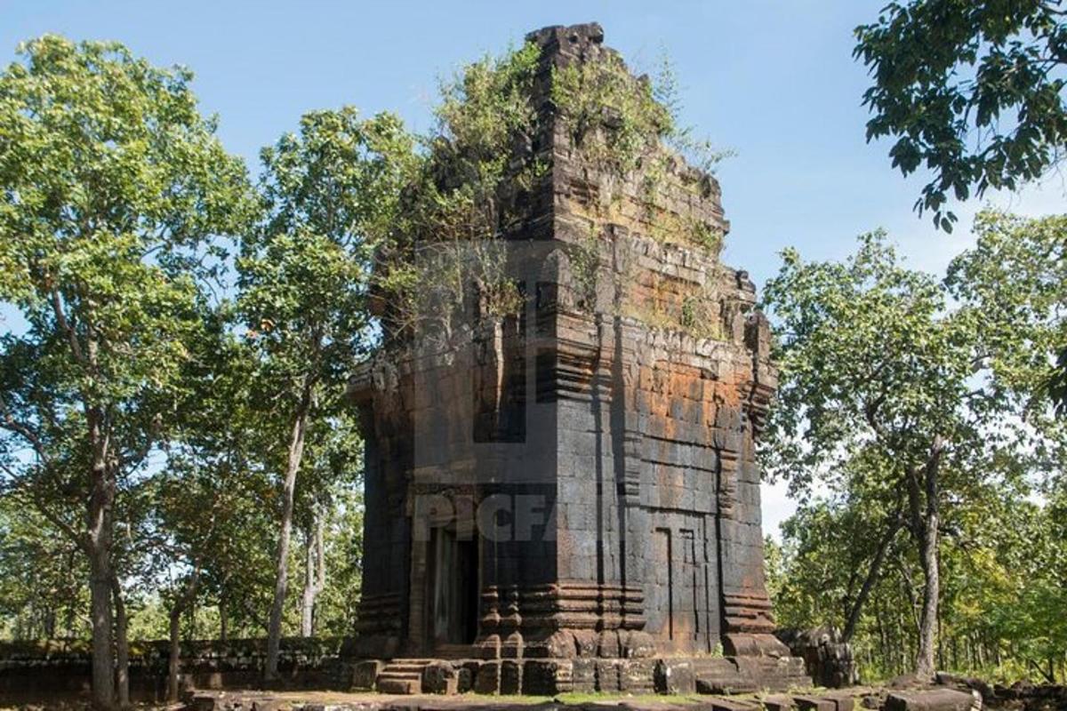 sebuah bangunan tinggi di tengah-tengah pokok