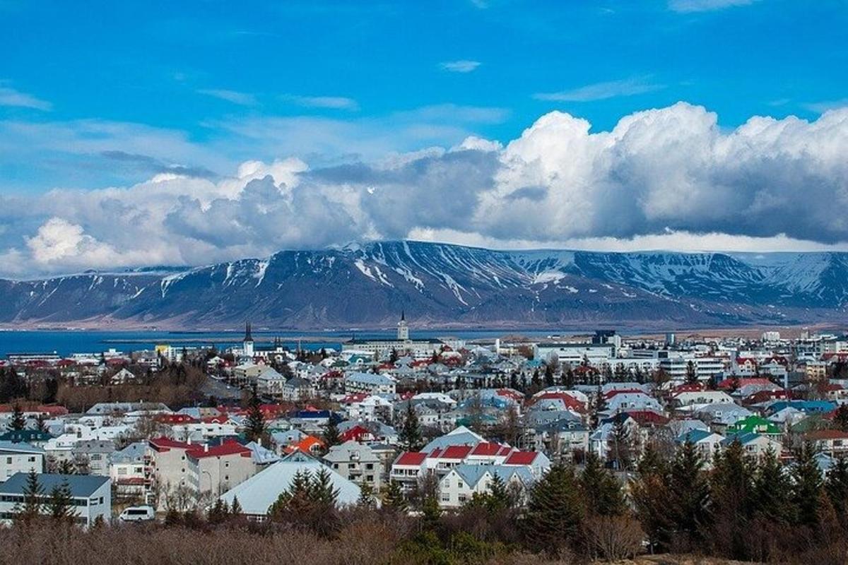 一座有建筑物和背景山脉的城市