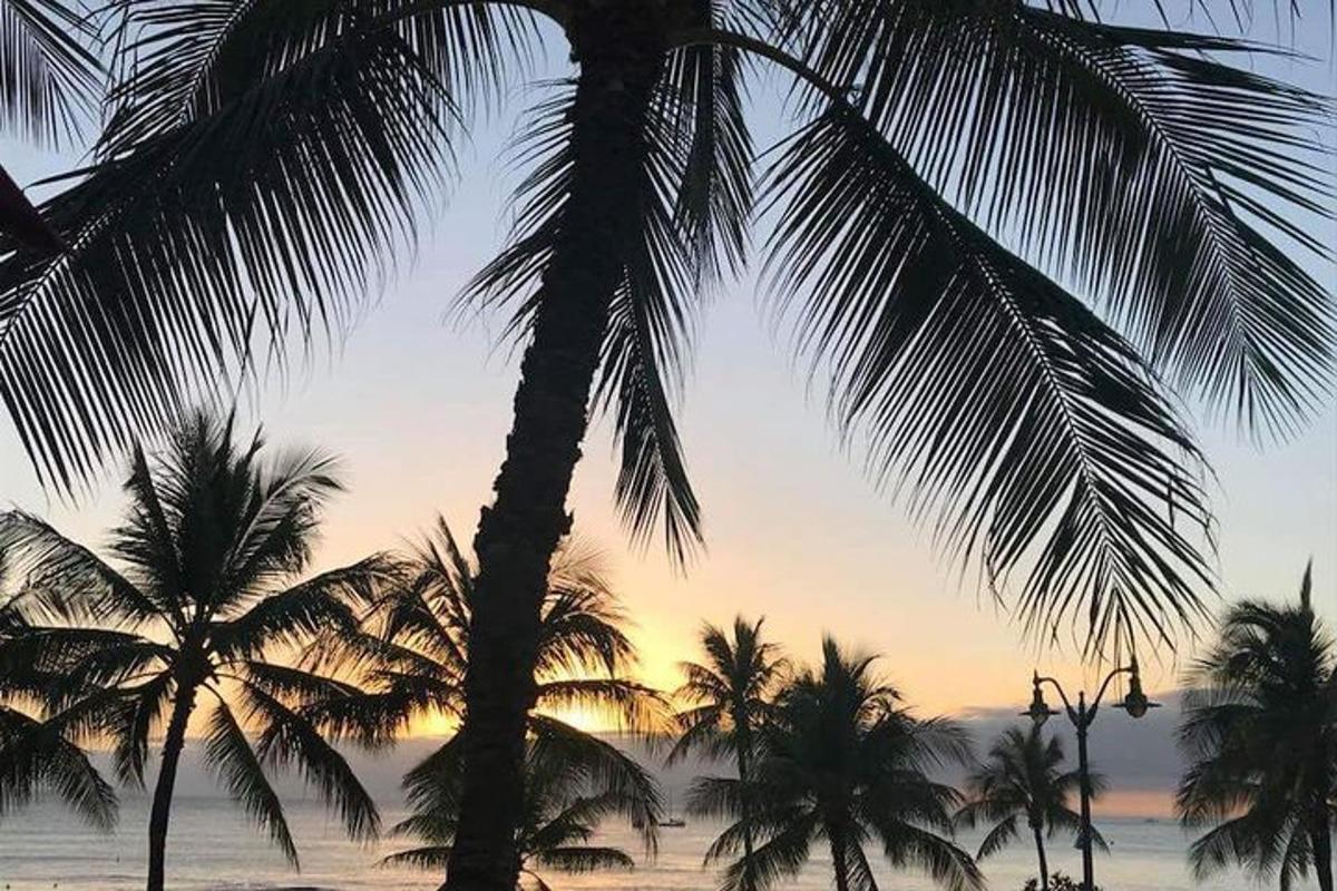 un gruppo di palme sulla spiaggia al tramonto