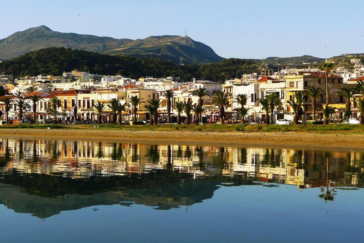 a view of a city with houses and a body of water