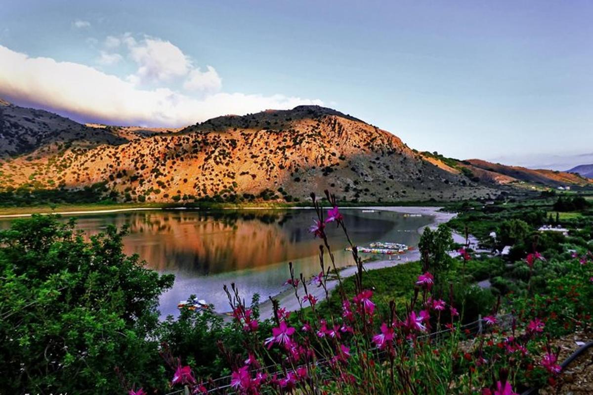 a view of a mountain with a lake and flowers