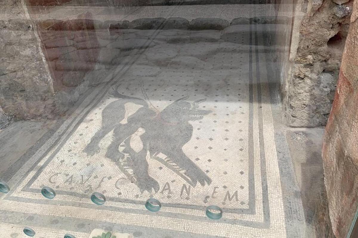 een mozaïek van een hond op een vloer in een raam
