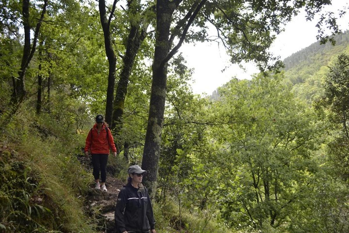 dva lidé jdoucí po stezce v lese