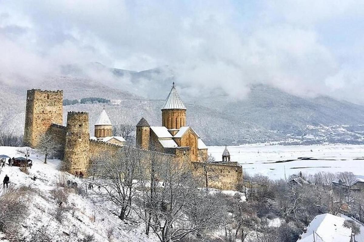 um castelo em uma colina com neve