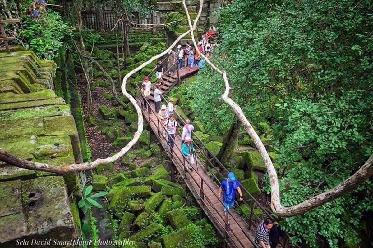 a group of people on a train in the jungle