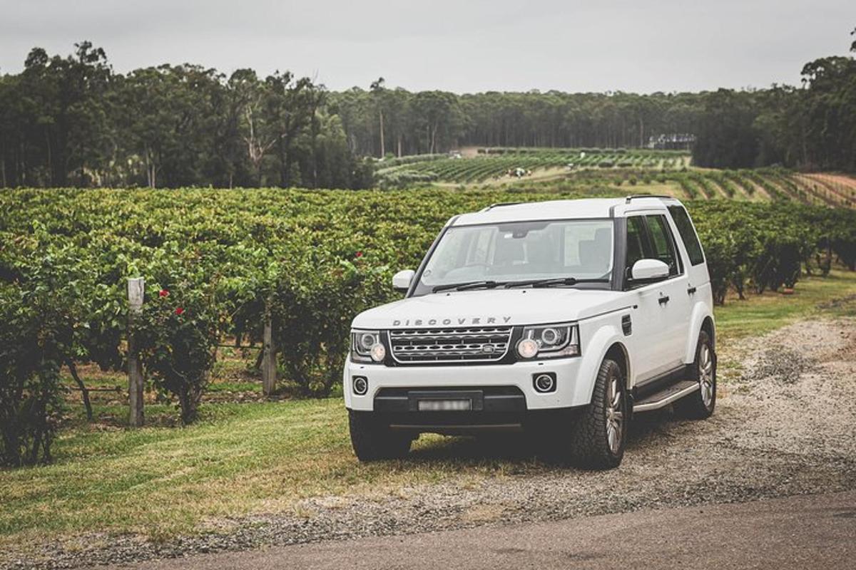 a white truck parked on a dirt road next to a vineyard