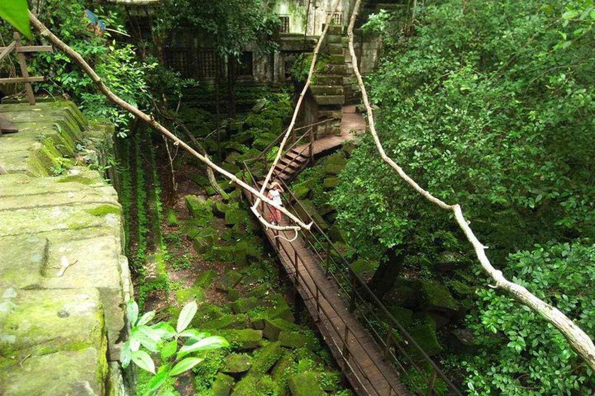 una cuerda atada a un tren en el bosque