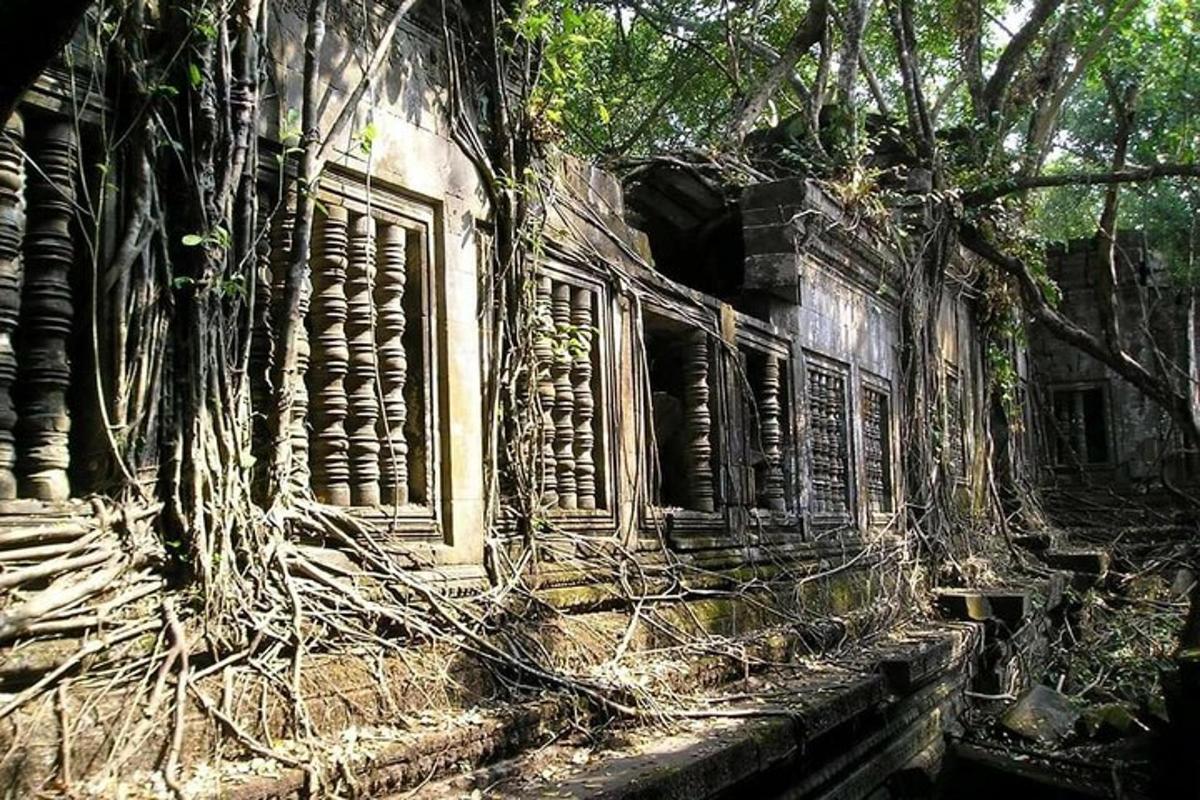 Un edificio antiguo con árboles creciendo a su alrededor.