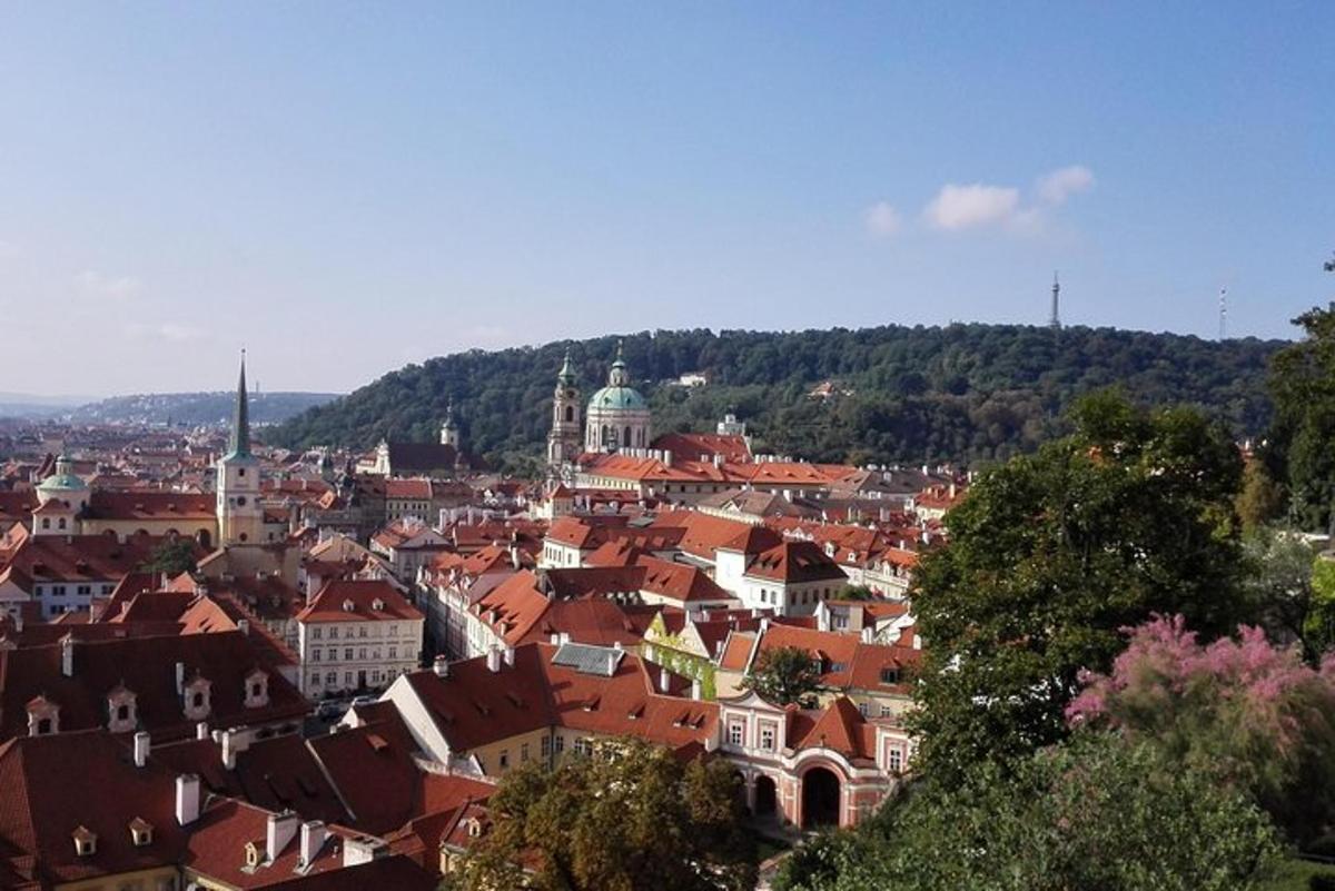 pohled na město s červenými střechami