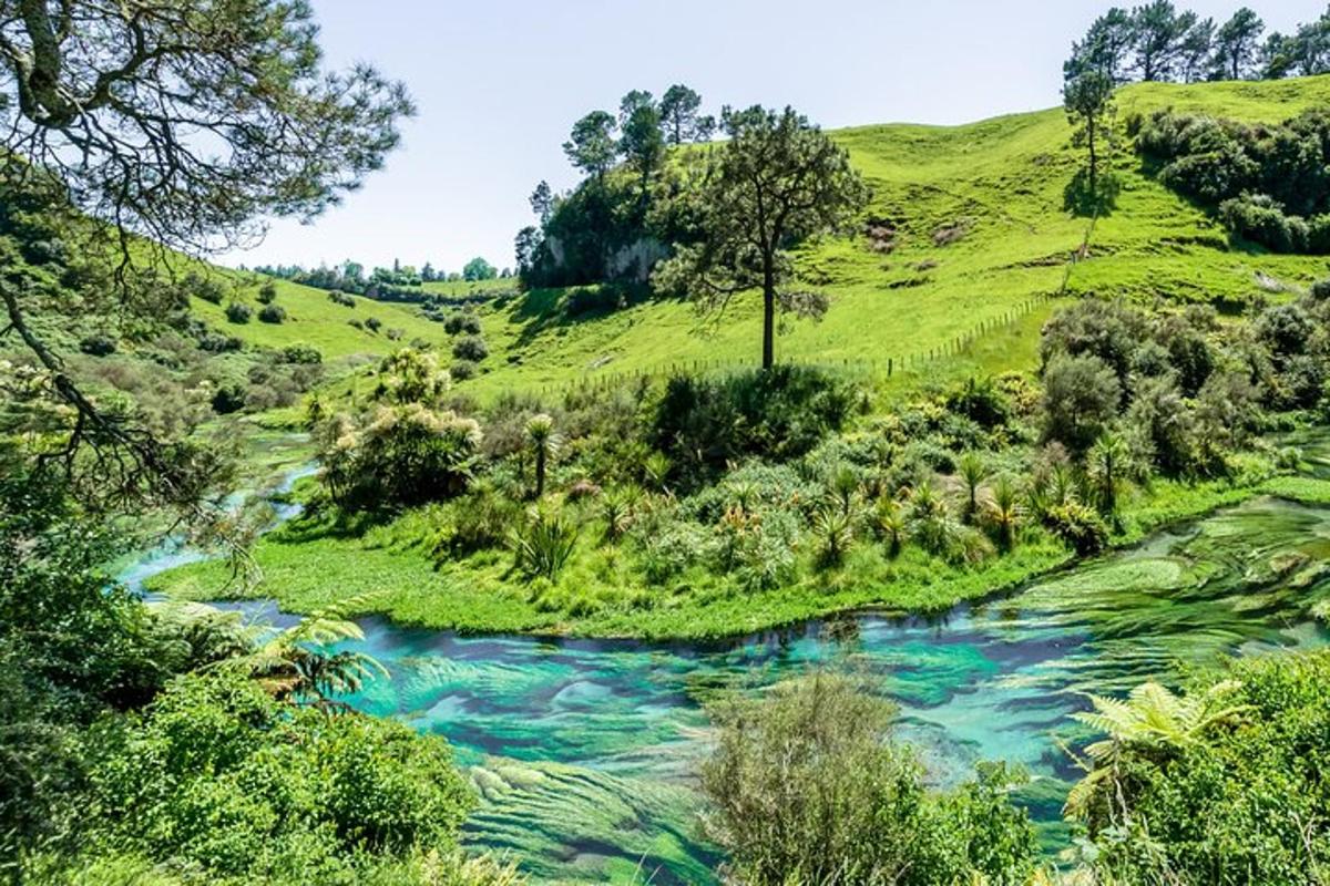 a river in the middle of a green hillside