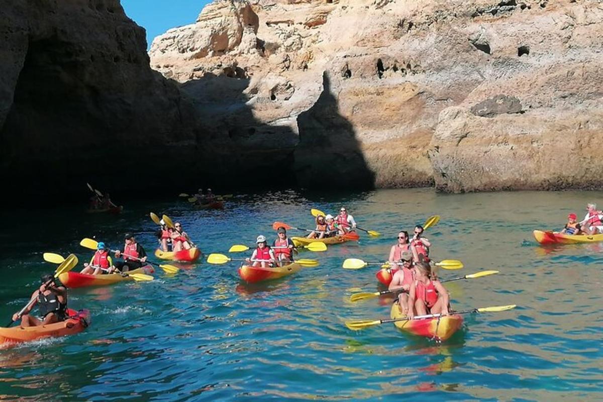 a group of people in kayaks on a river
