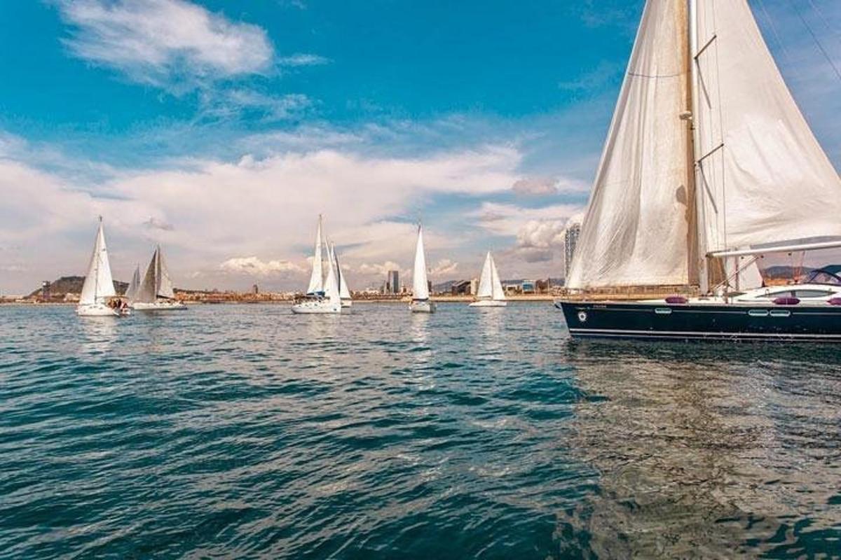 un gruppo di barche a vela su uno specchio d'acqua