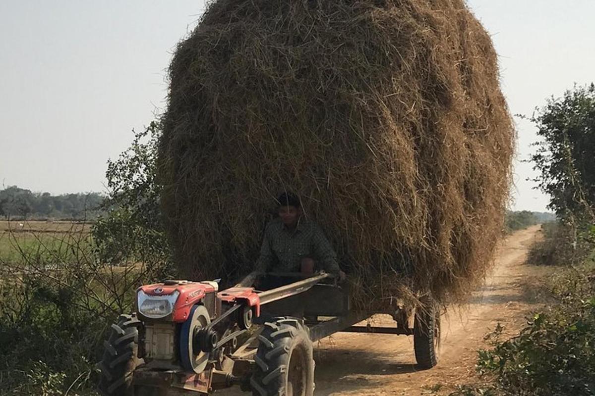 muž řídící traktor tahá velkou hromadu sena