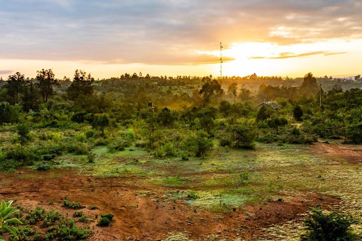 a field with a sunset in the background