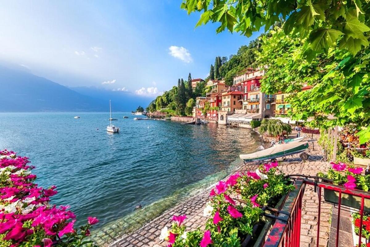 a view of a body of water with pink flowers