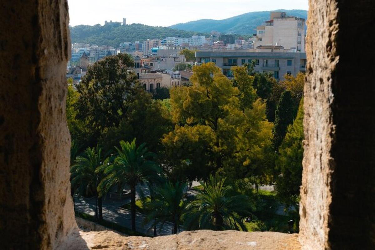 ein Blick auf eine Stadt mit Bäumen und Gebäuden