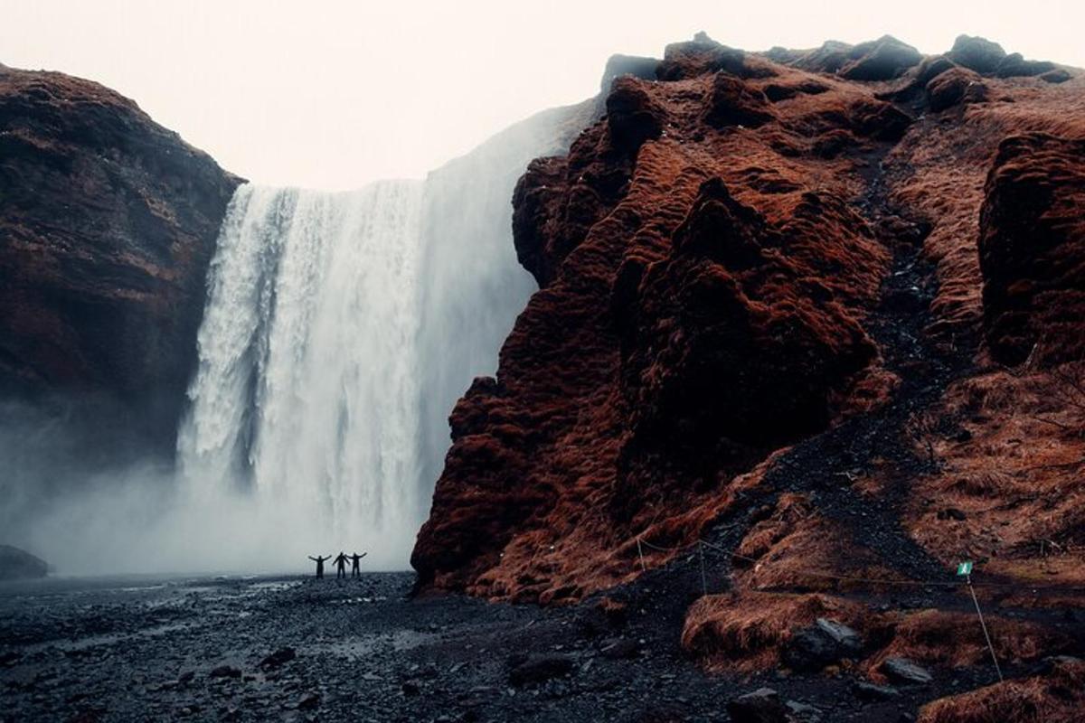 due animali in piedi davanti a una cascata