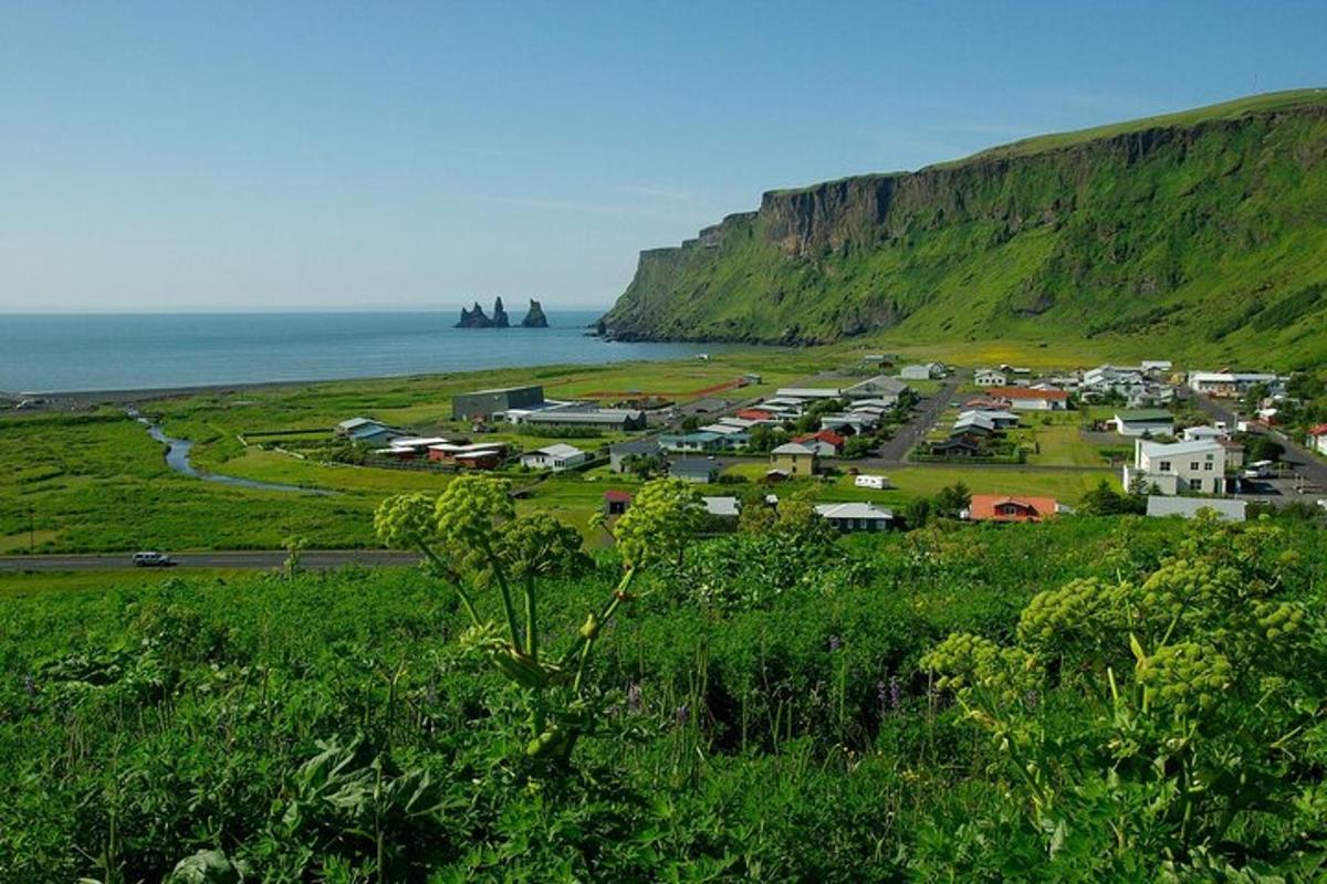 una piccola città vicino all'oceano con una collina verde