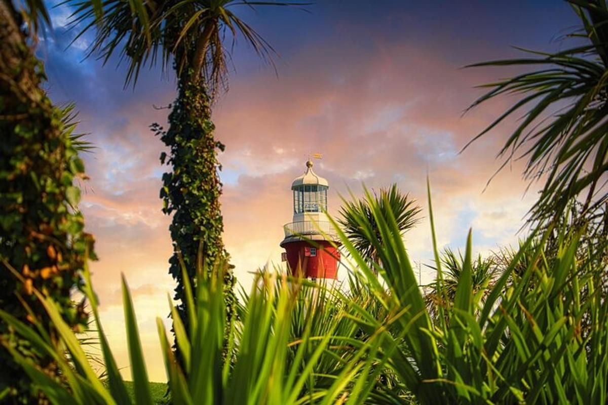 a red and white lighthouse in the middle of plants
