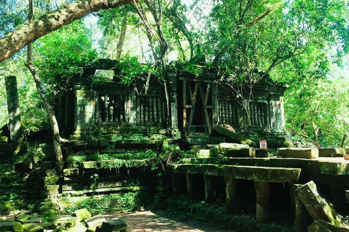 Un viejo edificio en medio de un bosque