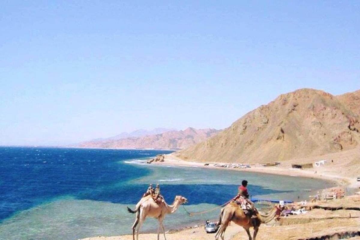 Dos personas en camellos en una playa cerca del océano.