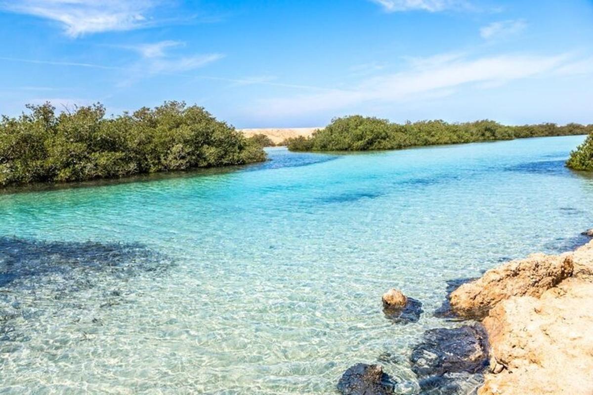 un fiume con acqua blu e alberi sullo sfondo