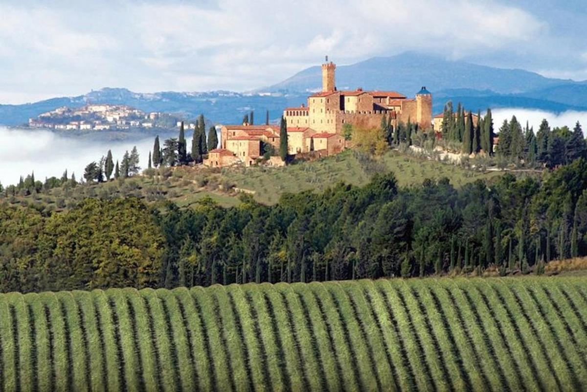 un castello in cima a una collina accanto a un vigneto