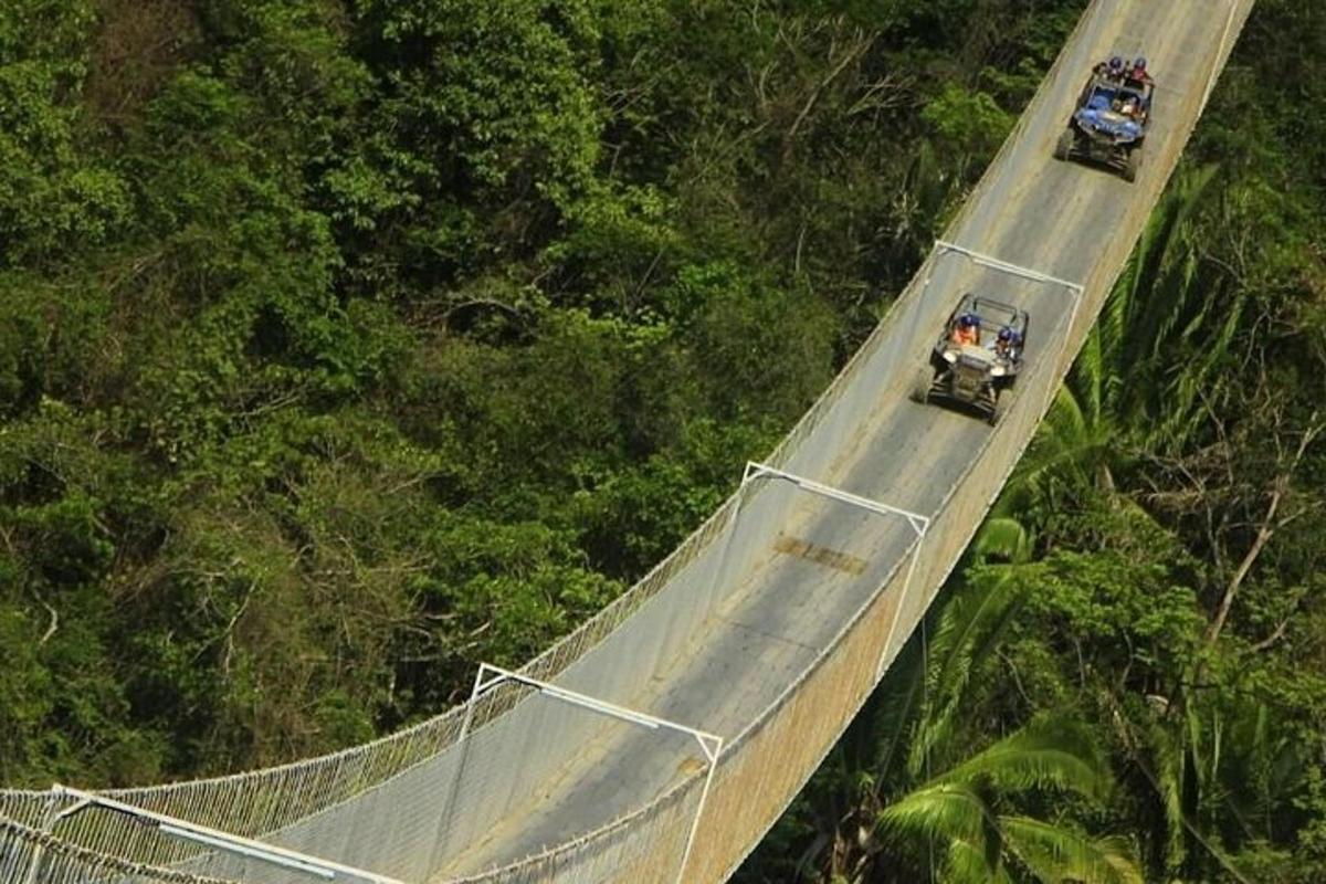 two trucks on a suspension bridge in the jungle