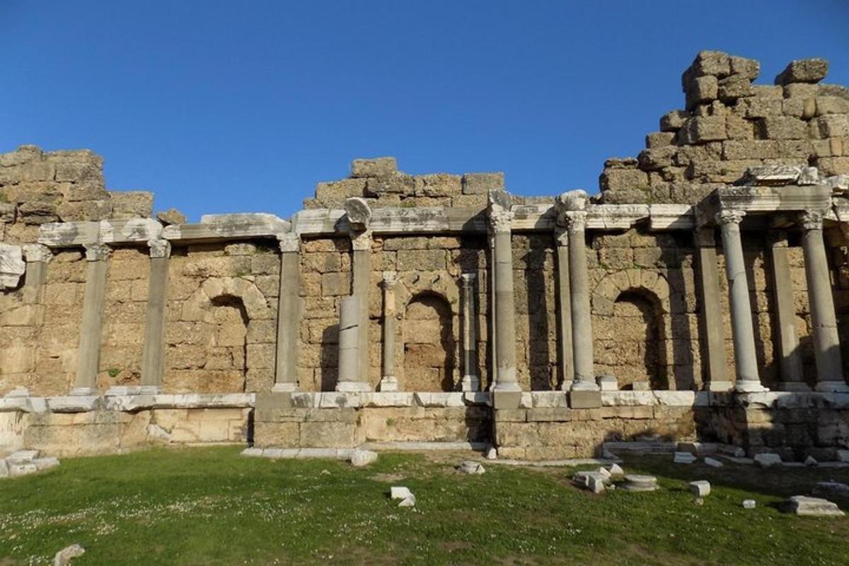 un grande edificio in pietra con colonne ed erba di fronte