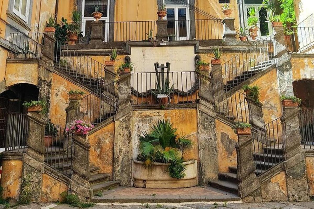 um prédio com escadas e vasos de plantas