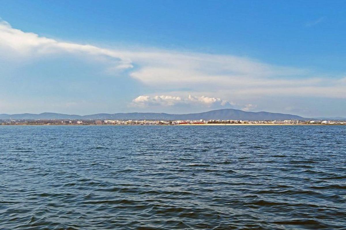 una gran massa d'aigua amb una ciutat al fons
