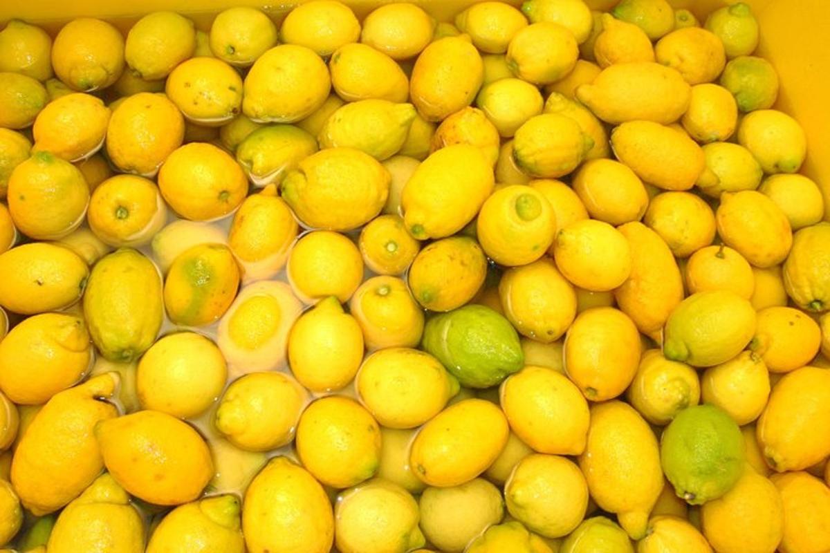 hromada citronů a limetek na stole