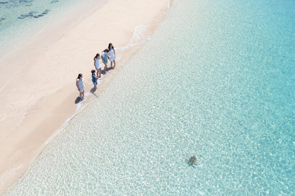 a group of people walking on the beach