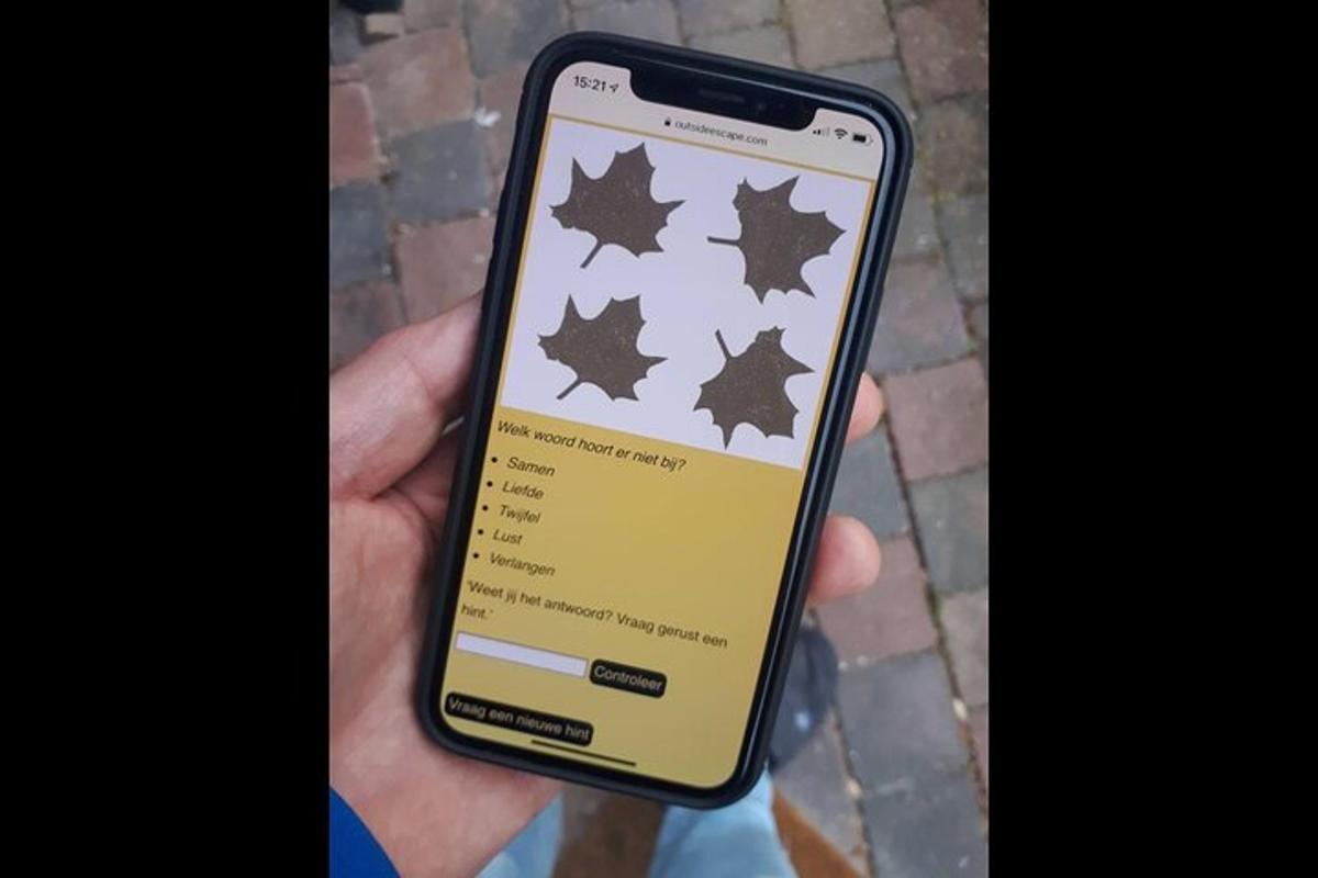 osoba držiaca mobilný telefón s javorovým listom
