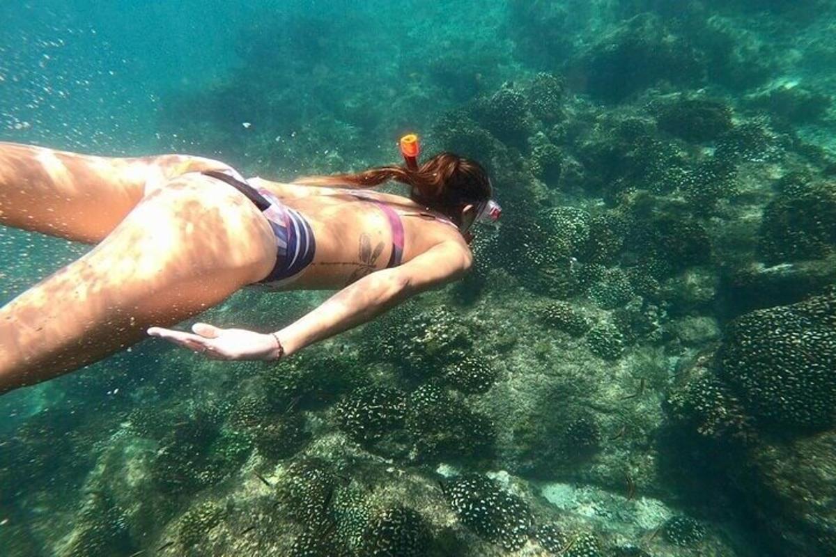 seorang wanita sedang berenang di dalam air