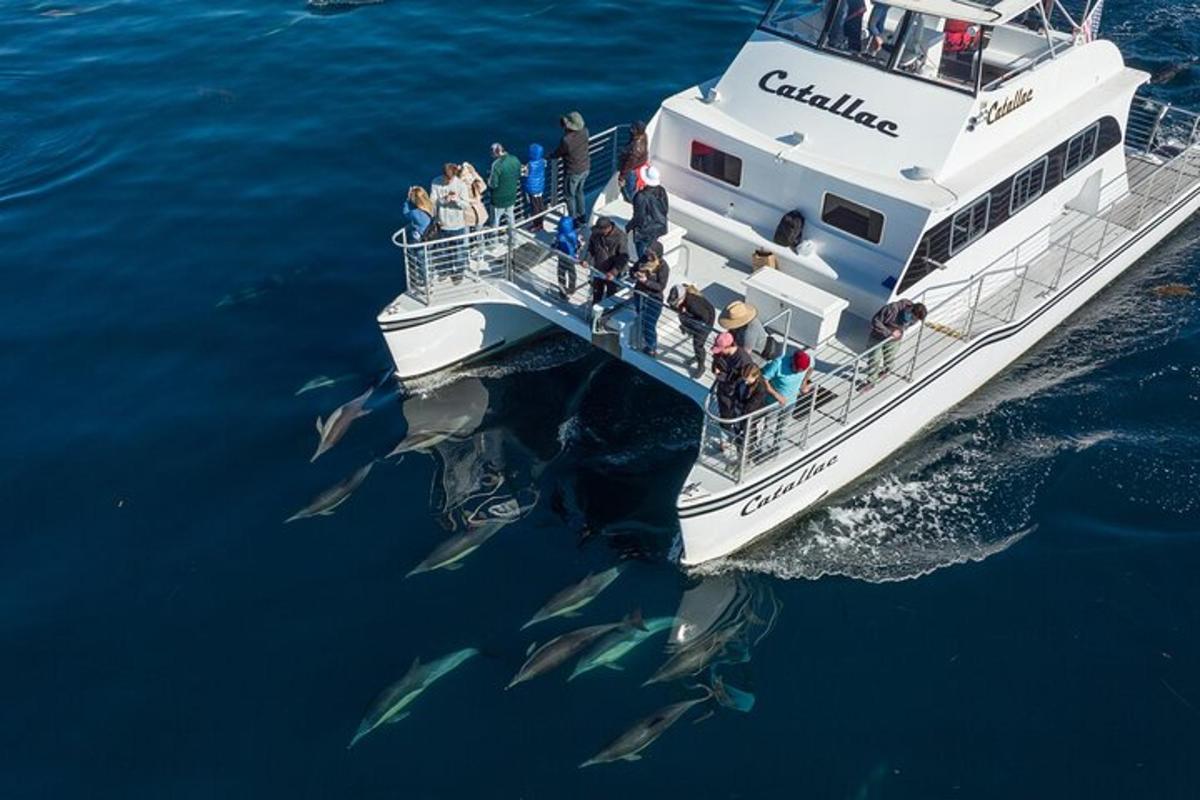 a group of people on a boat in the water