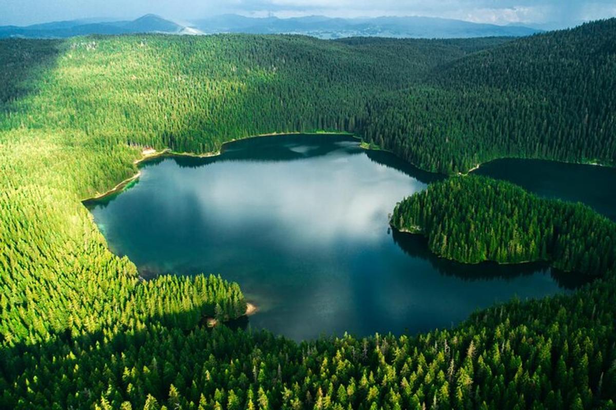 Letecký pohled na jezero v lese