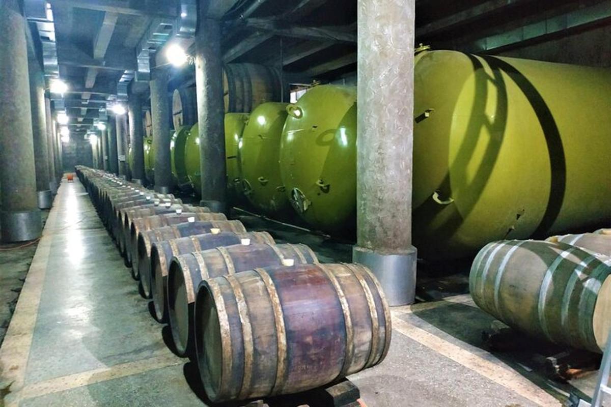 a row of green barrels in a warehouse
