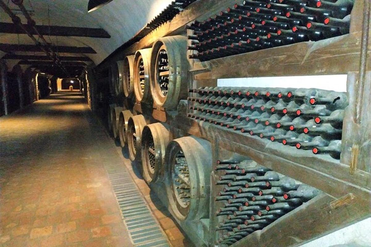 a row of wine bottles in a wine cellar