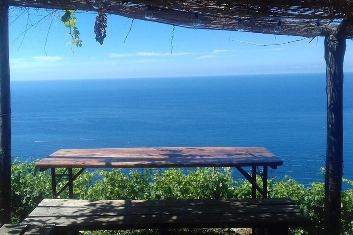 una panchina di legno seduta in cima all'oceano