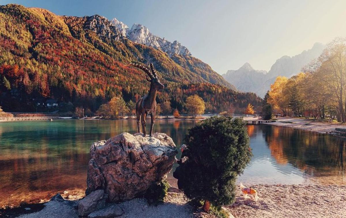 una statua di una giraffa su una roccia vicino a un lago