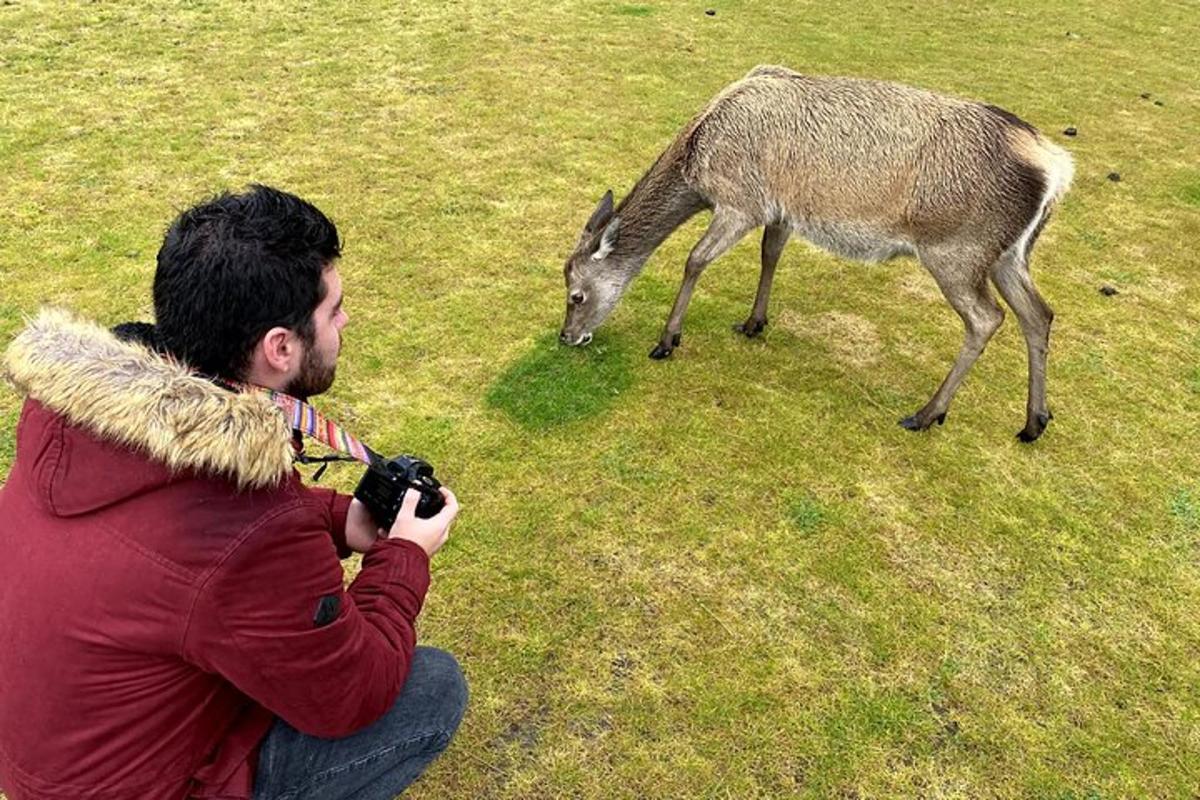 muž fotiaci jeleňa fotoaparátom
