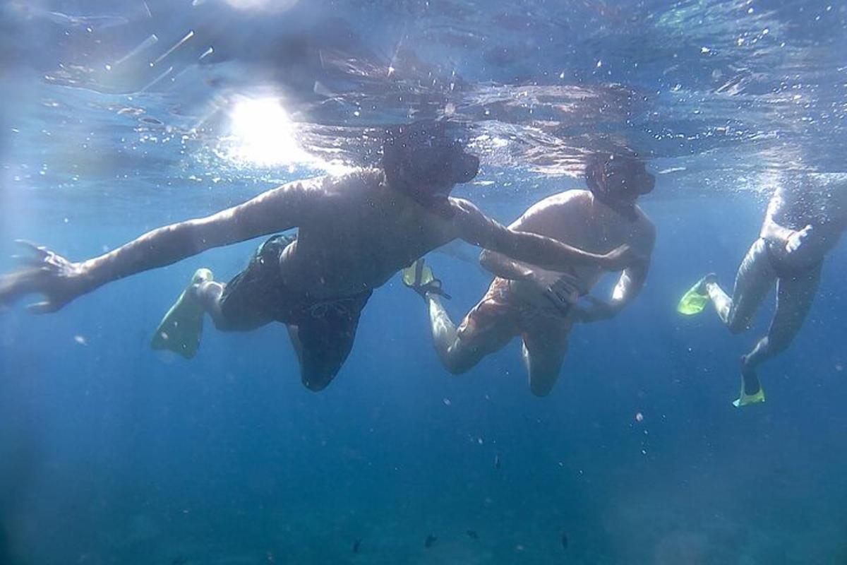 a group of people swimming in the water