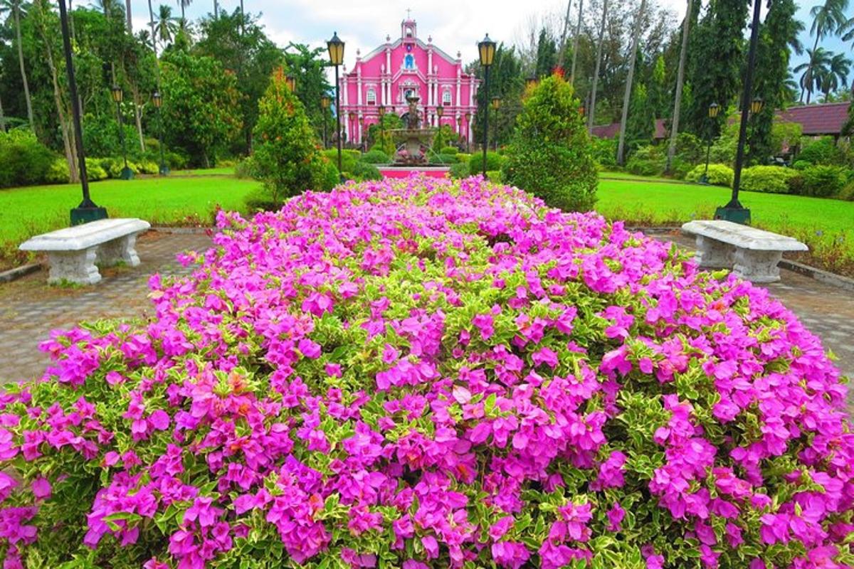 a garden with pink flowers in front of a pink house