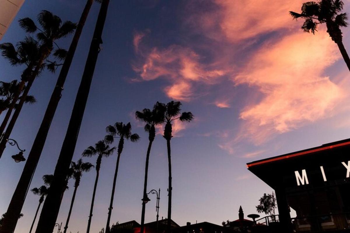 un gruppo di palme davanti a un tramonto