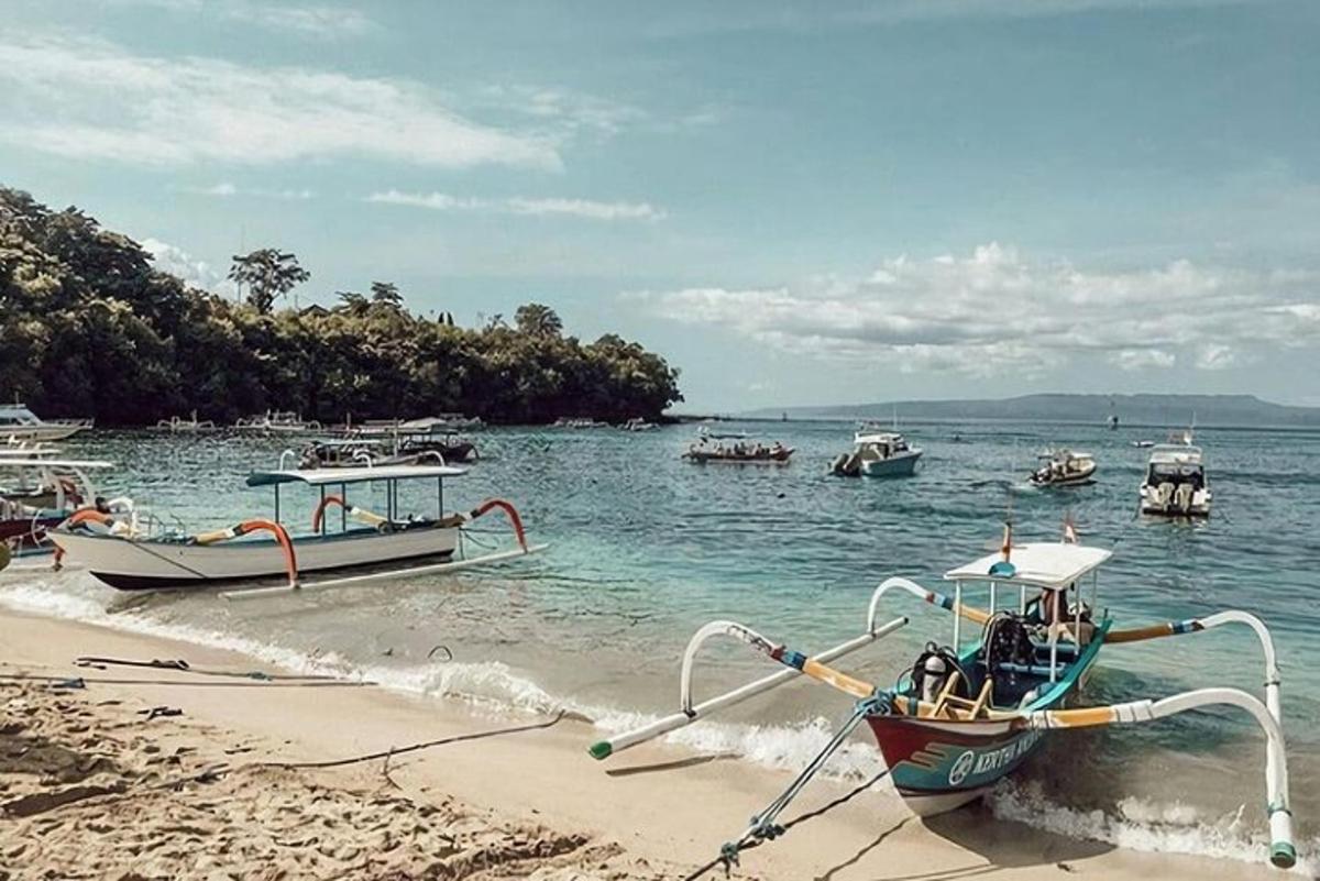 a group of boats are docked on the beach