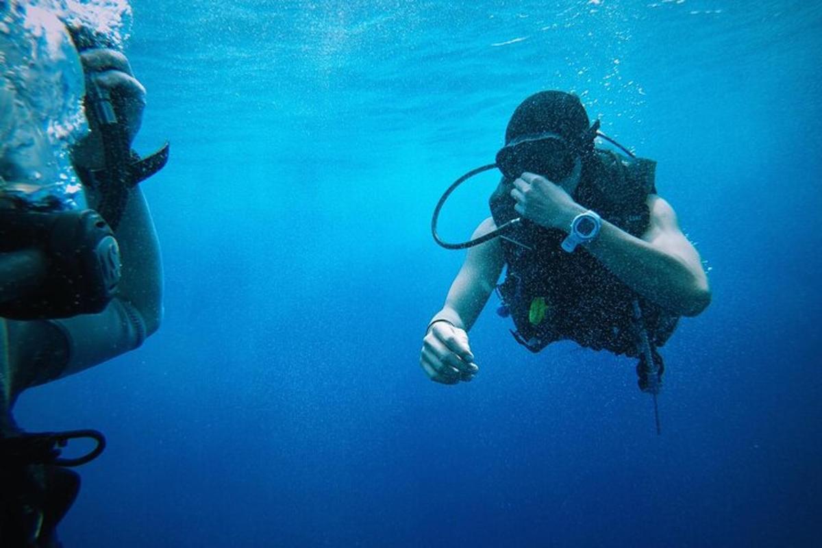 seseorang yang mengambil gambar seorang penyelam di dalam air