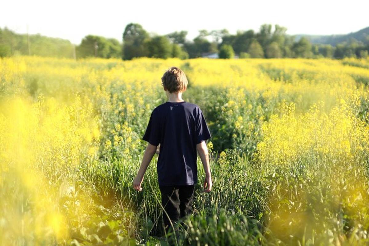 a young boy walking through a field of yellow flowers