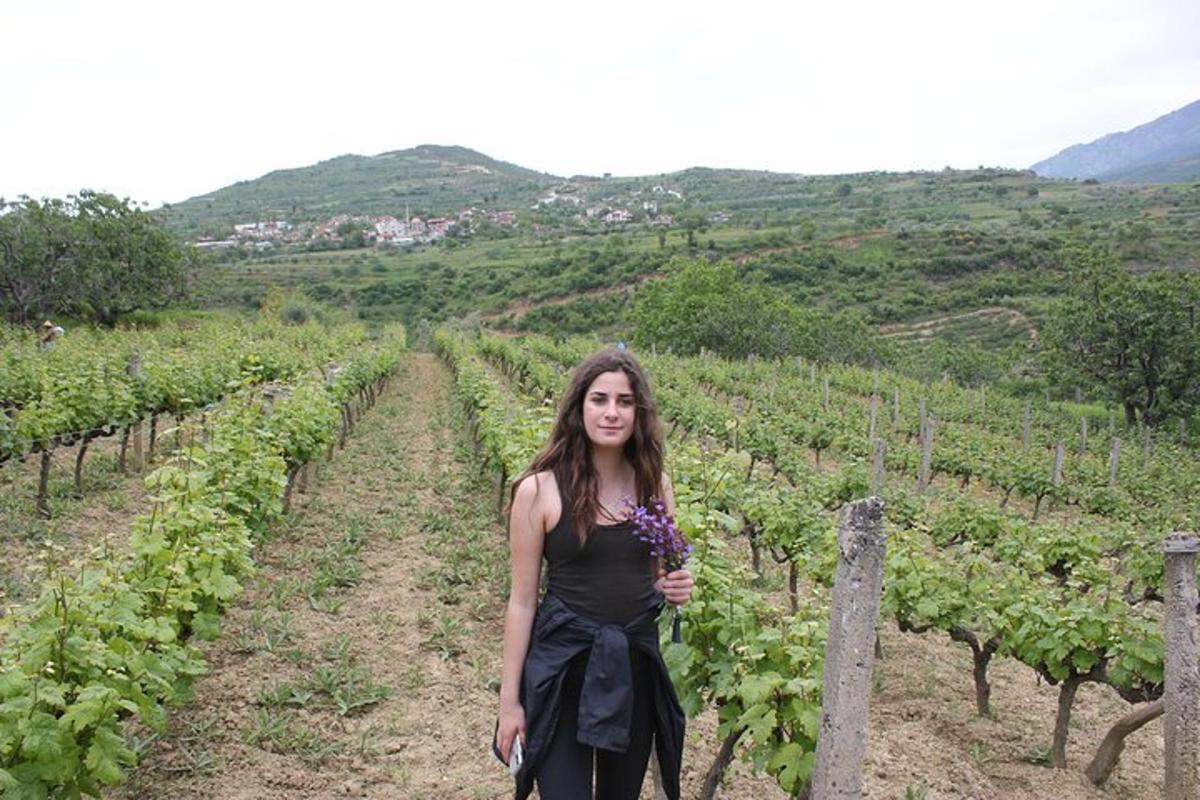 a woman standing in a vineyard with a bunch of grapes
