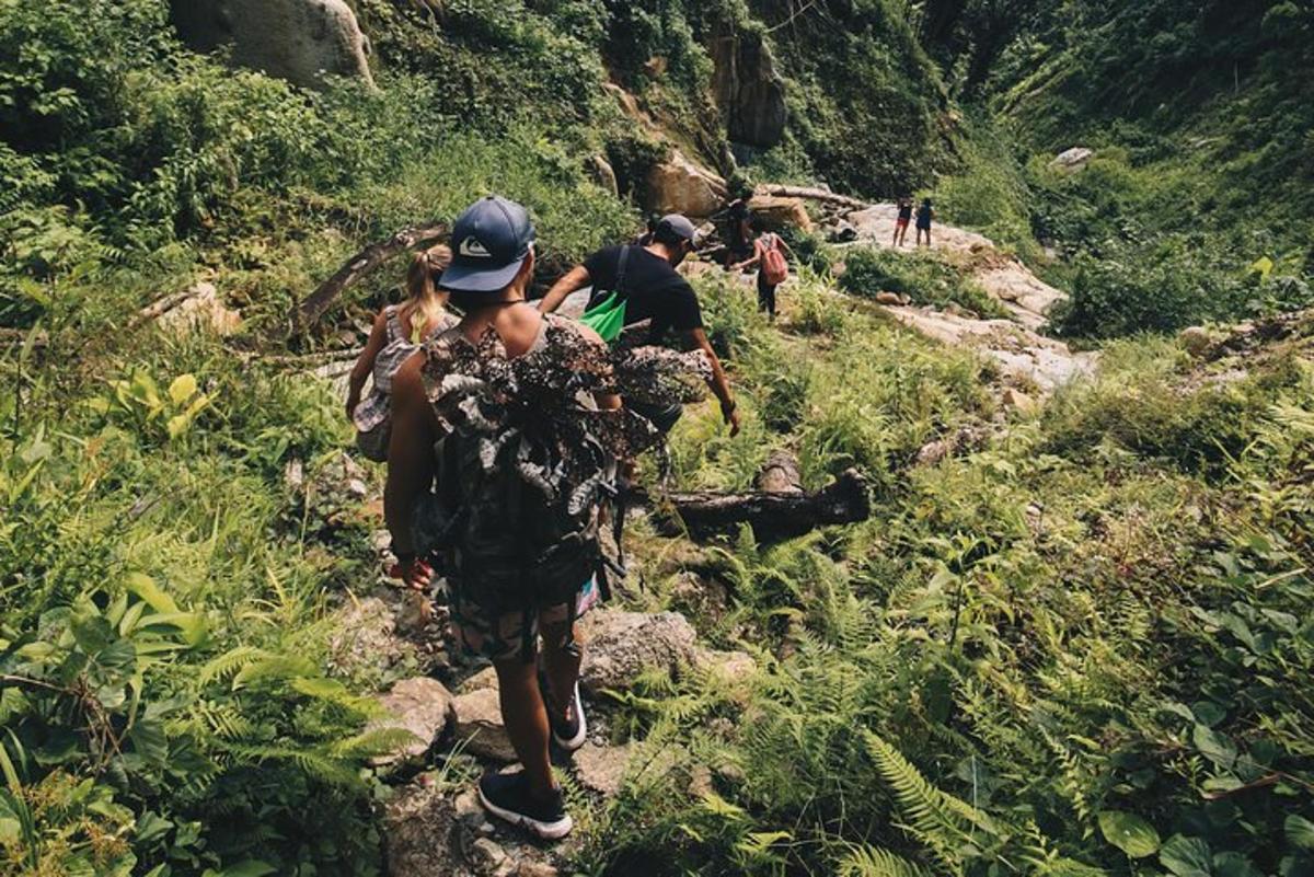 a group of people walking on a mountain trail